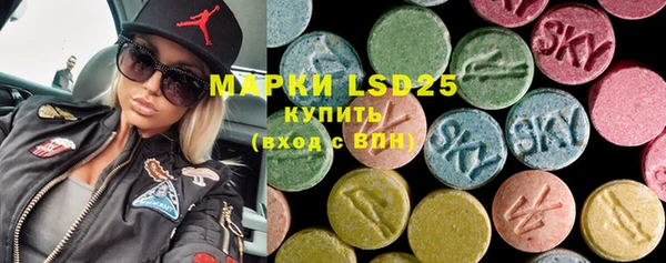 ECSTASY Алзамай