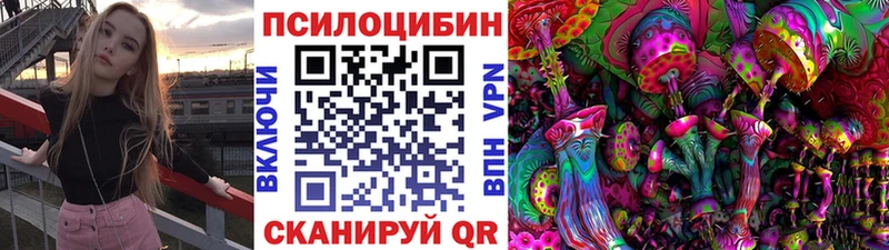 площадка телеграм Баймак Псилоцибиновые грибы Psilocybe закладки мега рабочий сайт